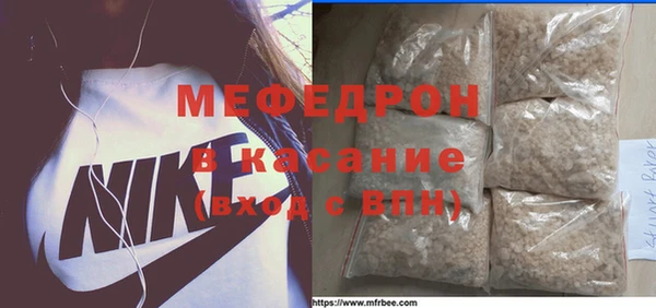 индика Вяземский