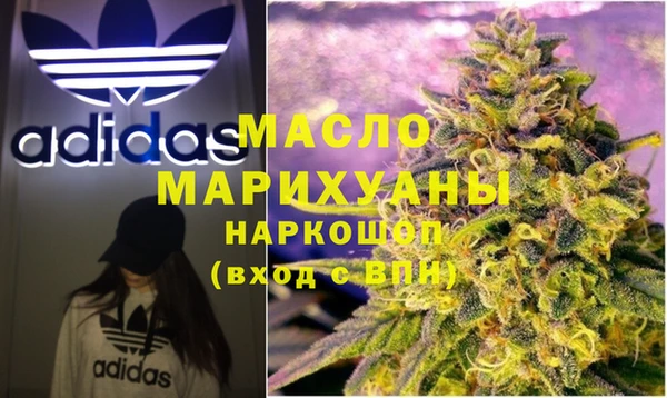 индика Слюдянка