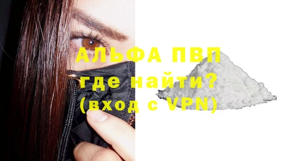 индика Вяземский