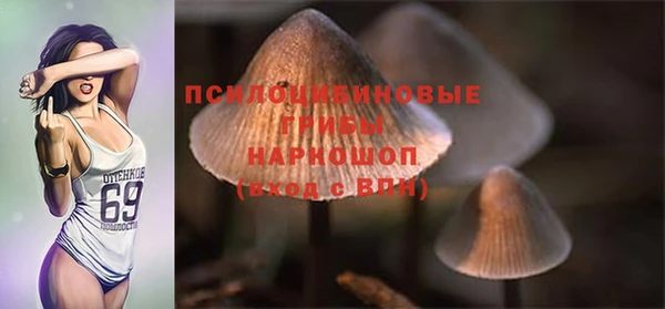 Альфа ПВП Дубна