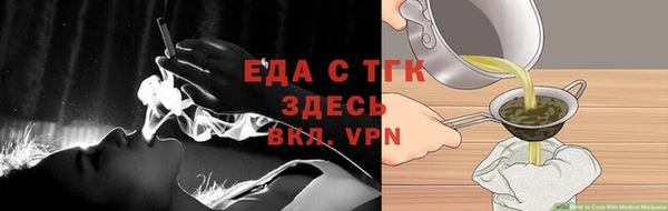 индика Вяземский