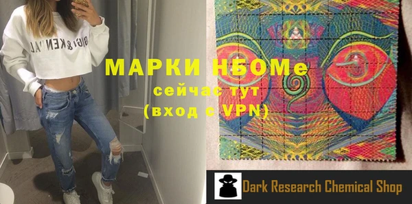 индика Вяземский