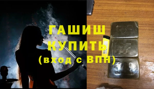 индика Вяземский