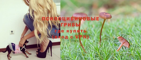 Альфа ПВП Дубна