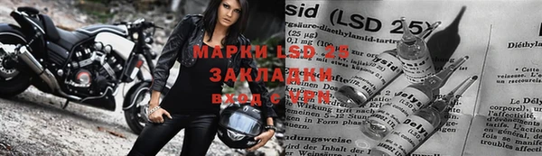 индика Вяземский