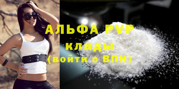 индика Вяземский