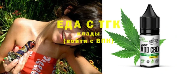 индика Вяземский