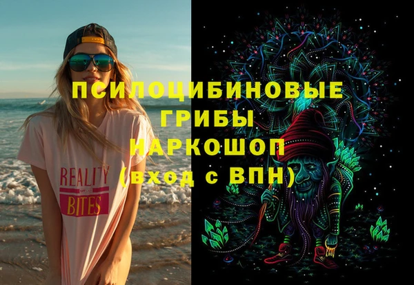 Альфа ПВП Дубна