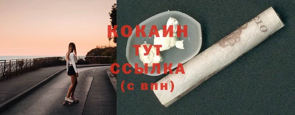 СК Сосновый Бор