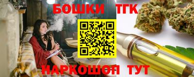 прущие крисы Аргун