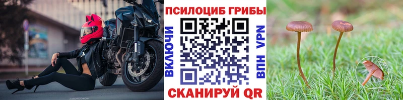 Галлюциногенные грибы мухоморы Большой Камень