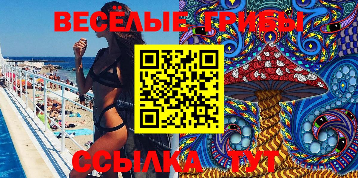 Псилоцибиновые грибы GOLDEN TEACHER  Вход с VPN  Большой Камень 