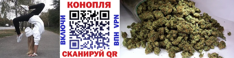 Бошки Шишки OG Kush  Большой Камень 